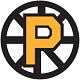 Providence Bruins 